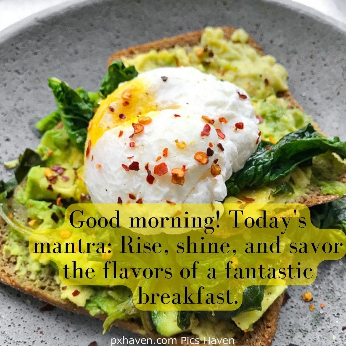 Good Morning breakfast quotes, free images wallpaper, free download. Multigrain toast with avocado and cream. Good morning! Today's mantra: Rise, shine, and savor the flavors of a fantastic breakfast.