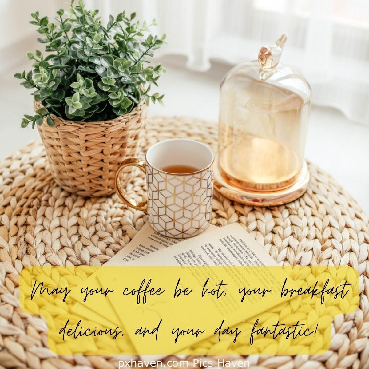 May your coffee be hot, your breakfast delicious, and your day fantastic! Coffee kept on a beautiful table with a green plant. Good Morning breakfast quotes, free images wallpaper, free download.