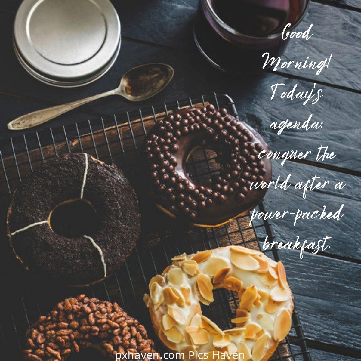 Good Morning! Today's agenda: conquer the world after a power-packed breakfast. Chocolate donuts lovely and delicious. Good Morning breakfast quotes, free images wallpaper, free download.