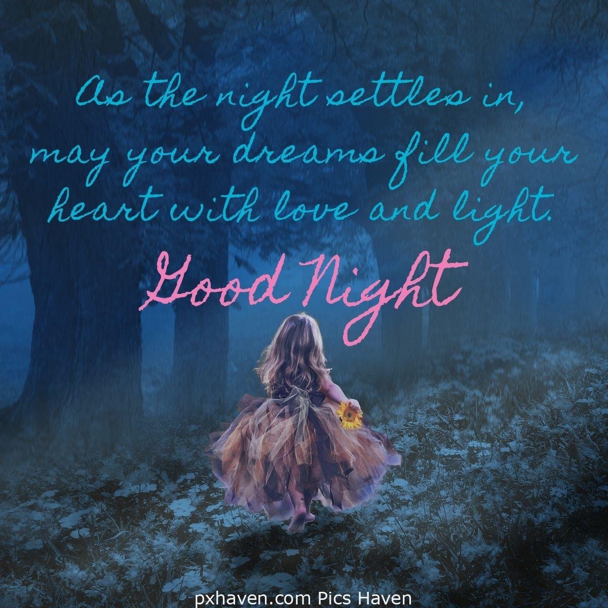 As the night settles in, may your dreams fill your heart with love and light. A small girl wishing good night at the woods. HD images. Free download. Good Night WhatsApp images.