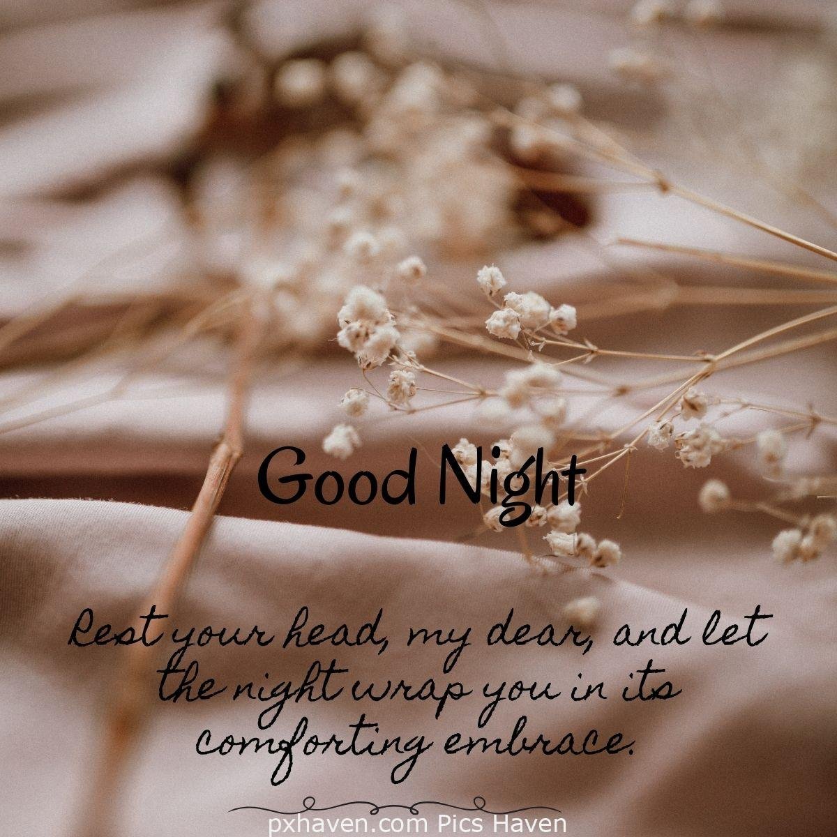 Rest your head, my dear, and let the night wrap you in its comforting embrace. Good Night. HD images. Free download. Good Night WhatsApp images.