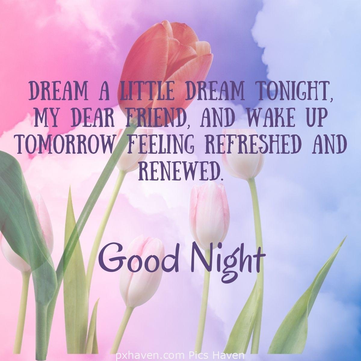 Red and white tulips with leaves over the sky. Dream a little dream tonight, my dear friend, and wake up tomorrow feeling refreshed and renewed. HD images, free download. WhatsApp images.