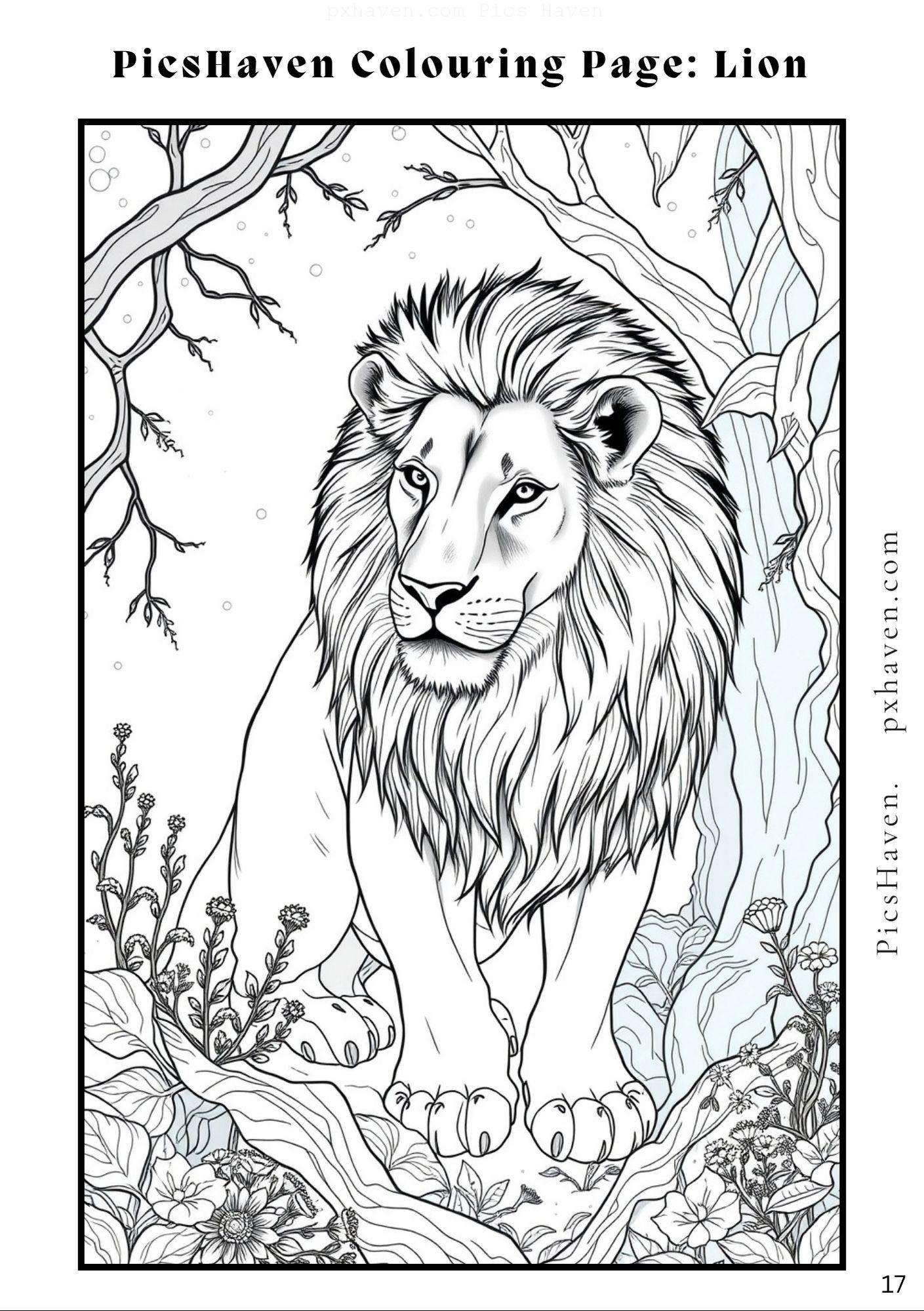 Lion coloring page for children to color and enjoy. Colouring pages. Full HD. Drawing and colouring. Free download and print.